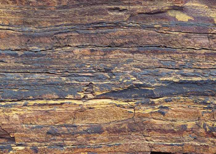 Standard Non-woven African Wall VIII