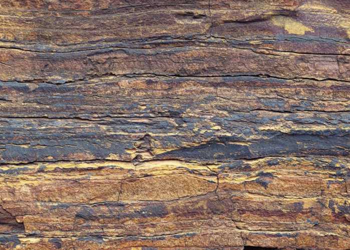 Standard Non-woven African Wall VIII