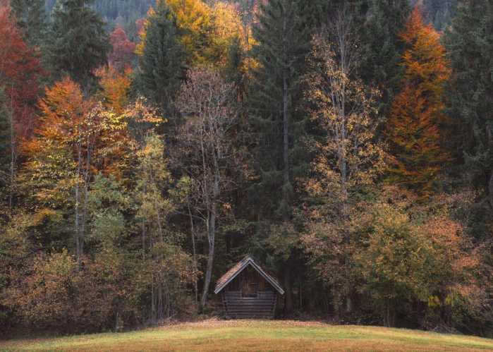 Standard Non-woven Autumn Cabin