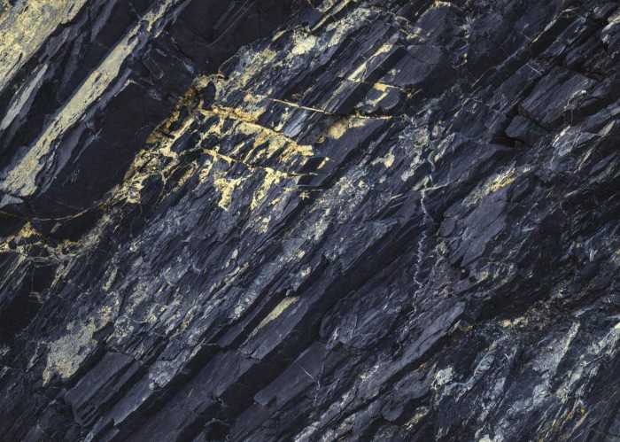 Standard Non-woven Colors of Earth I