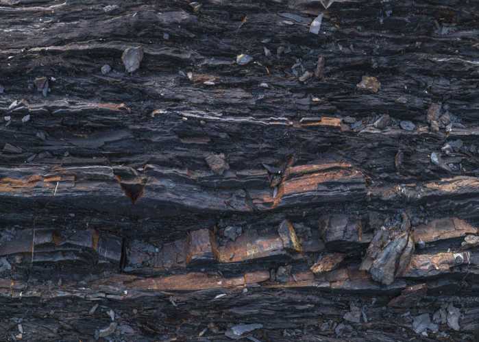 Standard Non-woven Colors of Earth VI