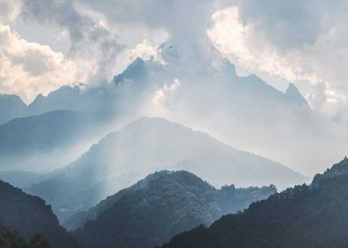Standard Non-woven Promised Hills
