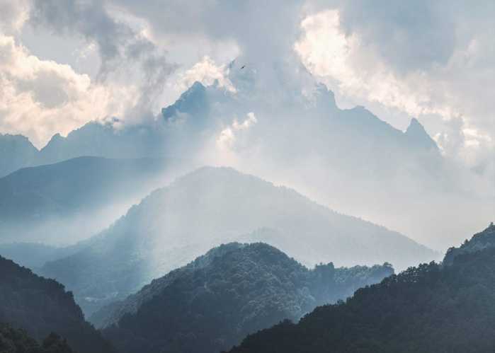 Standard Non-woven Promised Hills