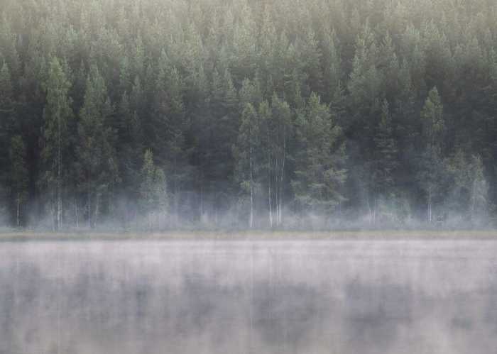 Standard Non-woven Scandi Wall