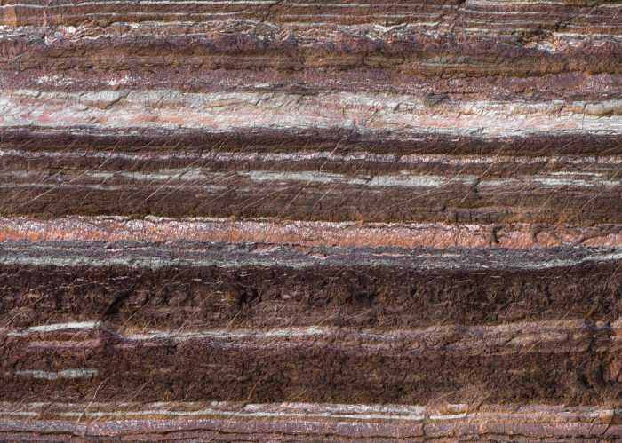 Standard Non-woven Secrets of the Desert V