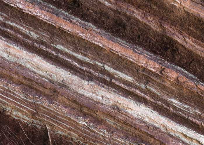 Standard Non-woven Secrets of the Desert VIII