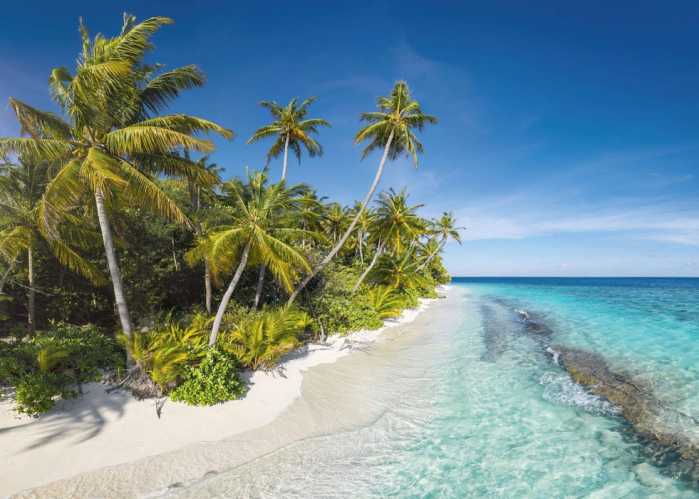Standard Non-woven Serenity