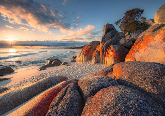 Standard Non-woven Bay of Fires