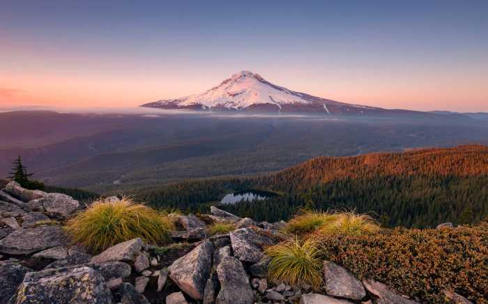 Standard Non-woven Kingdom of a Mountain