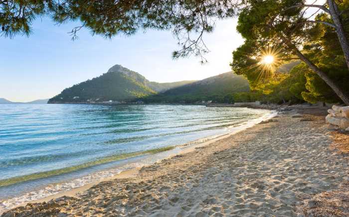 Standard Non-woven Lonely Paradise