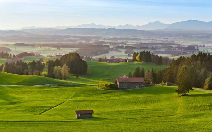 Standard Non-woven Paradiesisches Bayern