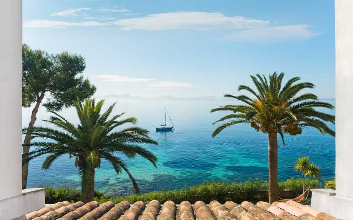 Standard Non-woven Paradise View