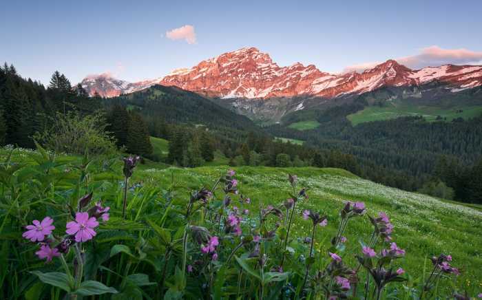 Standard Non-woven Picturesque Switzerland
