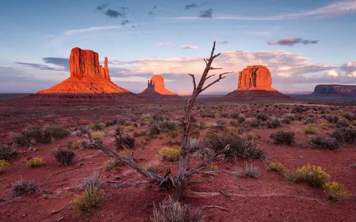 Standard Non-woven Wild West Heroes