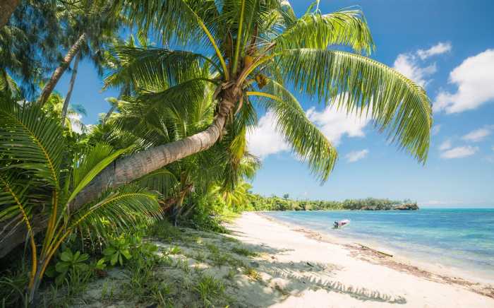 Standard Non-woven Fiji Dreams Boat 