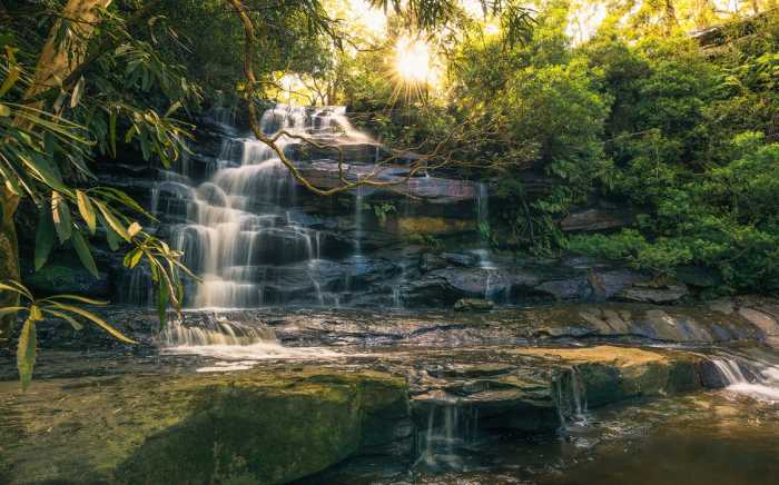 Standard Non-woven Golden Falls