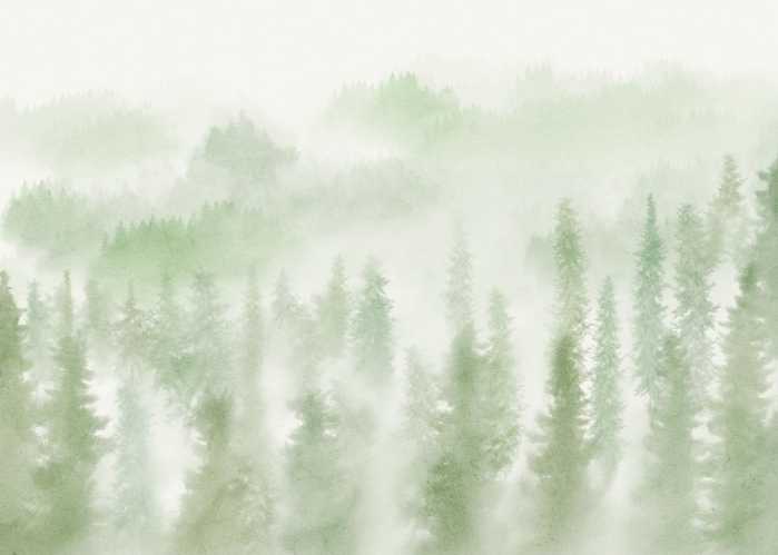 Standard Non-woven Blurry Woods