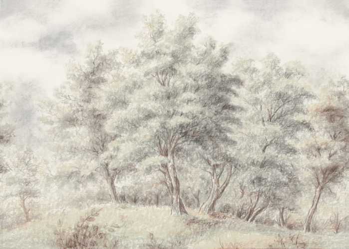 Standard Non-woven Grove