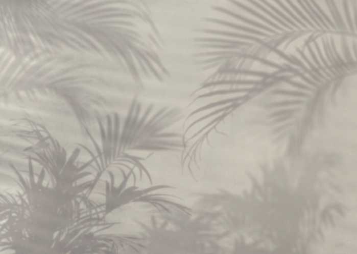 Standard Non-woven Lumière