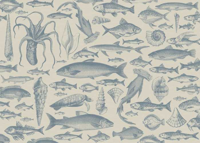 Standard Non-woven Sea Study