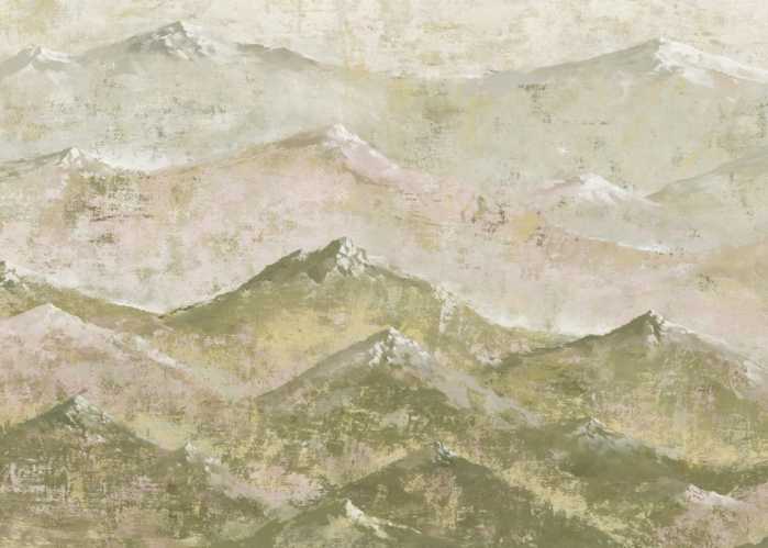 Standard Non-woven Ladakh