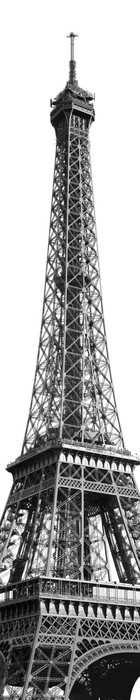Standard Non-woven Tour Eiffel