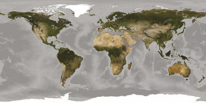 Standard Non-woven World