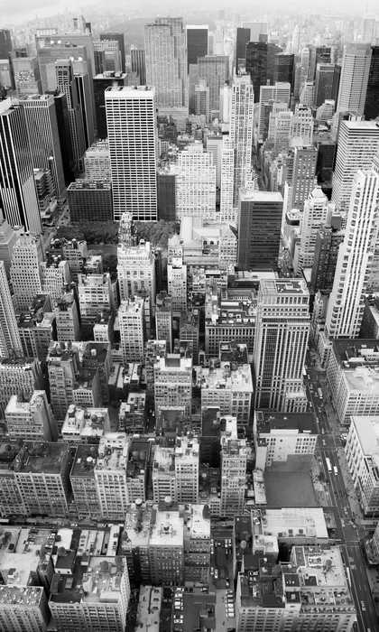 Standard Non-woven Uptown