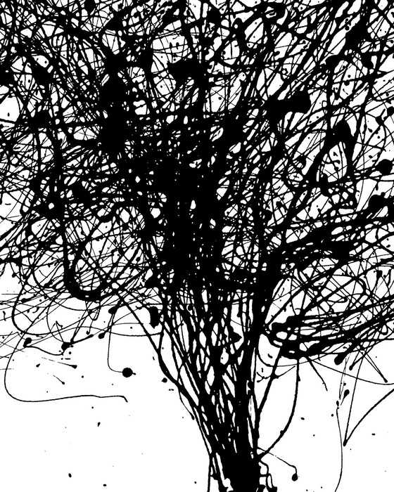 Standard Non-woven Curls