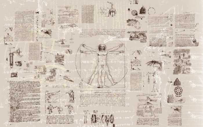 Standard Non-woven Da Vinci