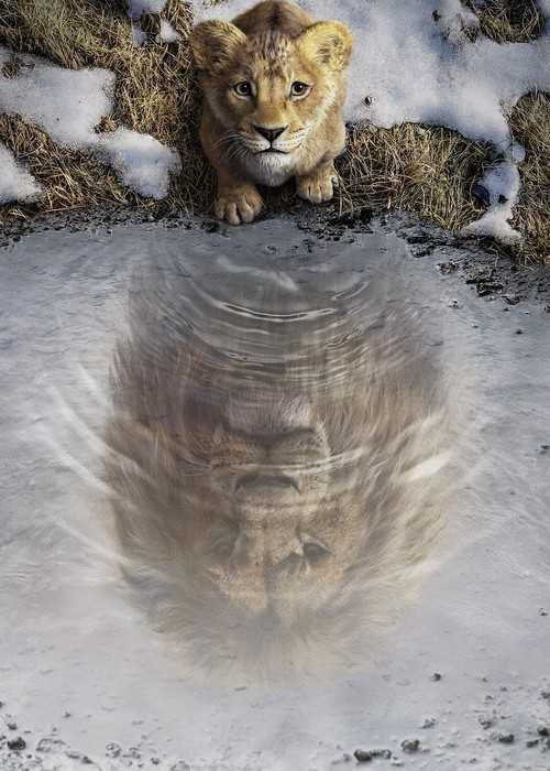 Poster Disney Mufasa The Lion King