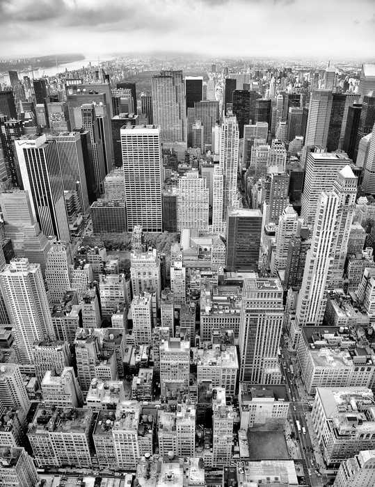 Standard Non-woven Uptown