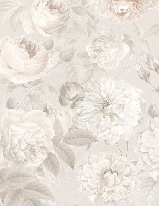 Standard Non-woven Nuance
