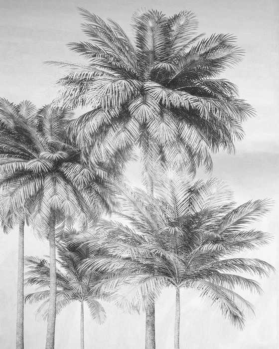 Standard Non-woven Cocco