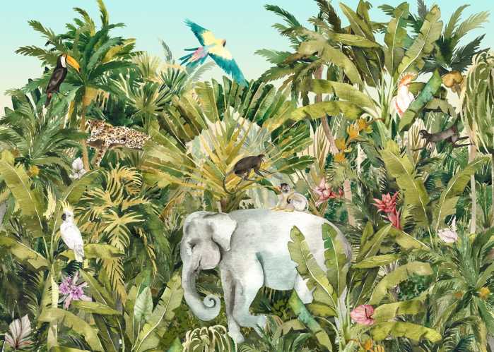 Standard Non-woven Jungle Expedition