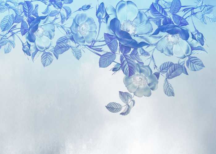 Standard Non-woven Blue Aura