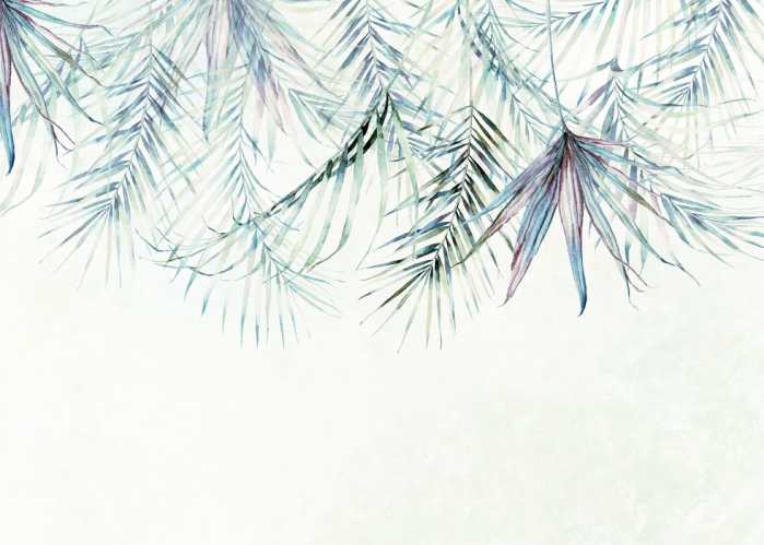 Standard Non-woven Palm Spring