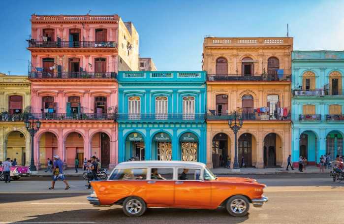 Standard Non-woven Havanna