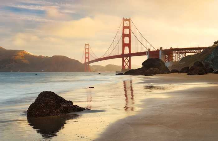 Standard Non-woven Golden Gate
