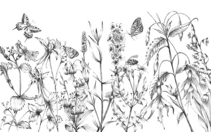 Standard Non-woven Butterfly Field