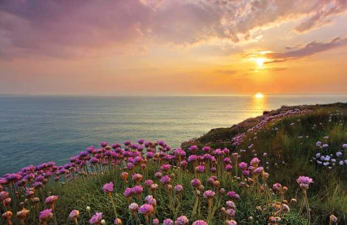 Standard Non-woven Land's End