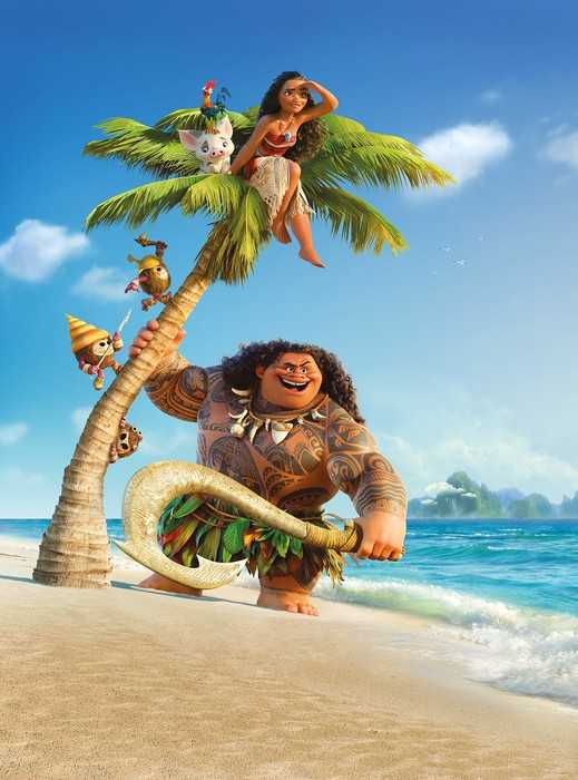 Non-woven Moana and Maui