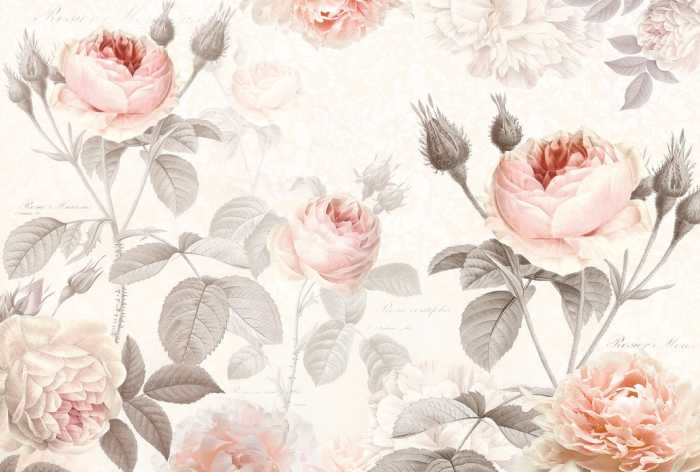 Non-woven La Maison
