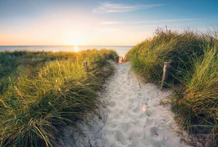 Non-woven Way to the Beach