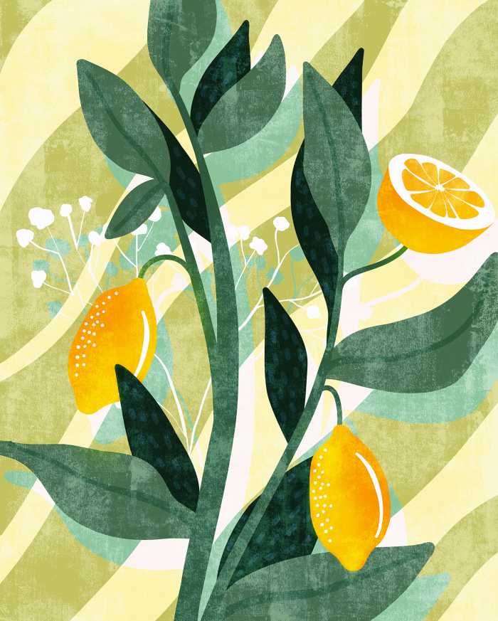 Digital wallpaper Lemon Fresh