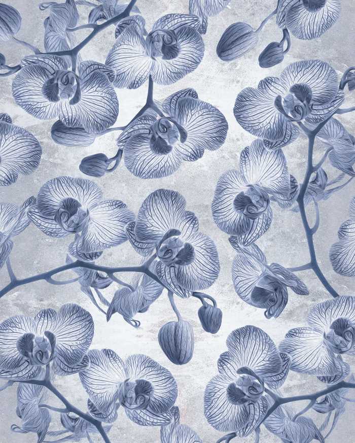 Digital wallpaper Orchidées