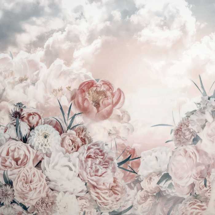Digital wallpaper Blossom Clouds