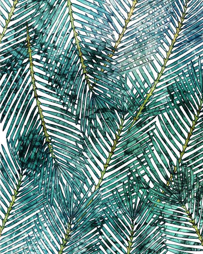 Digital wallpaper Palm Canopy