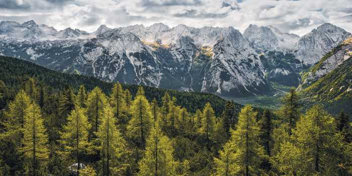 Panel Wild Dolomites
