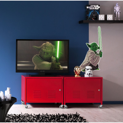 Star Wars Yoda training Session